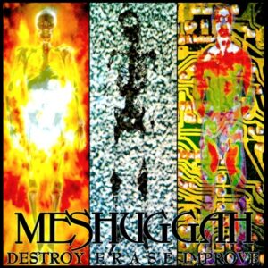 Meshuggah - Destroy, Erase, Improve（1995）