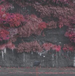 Sleep Token - Even In Arcadia（2025）