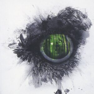 Swallow The Sun - Emerald Forest And The Blackbird（2012）