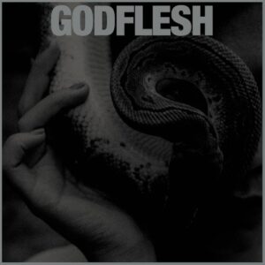Godflesh - Purge（2023）