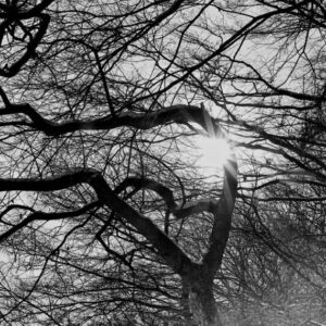 Corrupted - Pray For The Hollow Sun(2024)