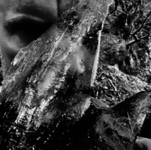 Taake - En Skog Av Nidstang（2026）